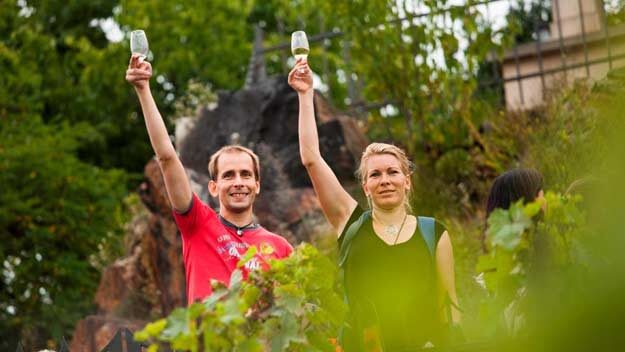 Vinobraní v trojské botanické zahradě nabízelo vlastní vína