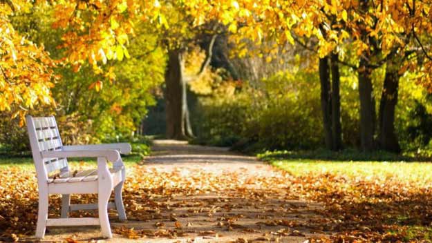 Hledá se parťák pro babi, nebo dědu. Připojte se