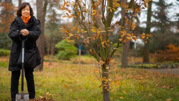 Jubilejní 100. strom byl vysazen za Tomáše Garrigue Masaryka