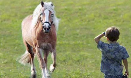 Když ti chybí smysl a ty to nevíš