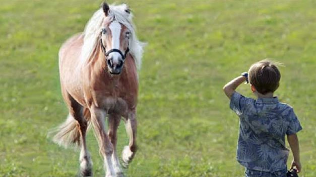 Když ti chybí smysl a ty to nevíš