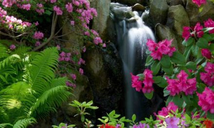 Trojská botanická zahrada ožije díky vodě z Vltavy