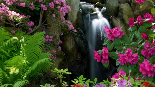 Trojská botanická zahrada ožije díky vodě z Vltavy