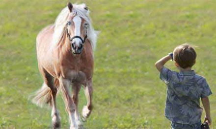 Když ti chybí smysl a ty to nevíš