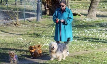 Studie: majitelé psů jsou zdravější s nižším rizikem infarktu