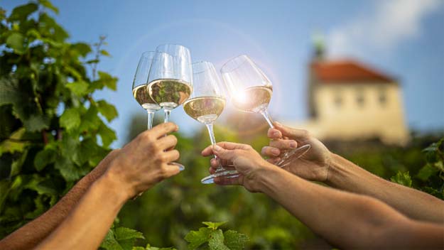 Léto ve znamení vína v trojské botanické zahradě