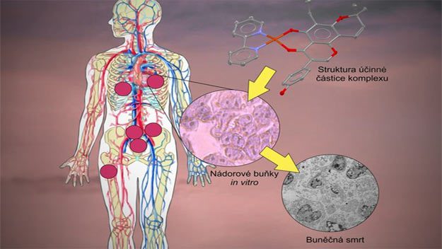 Olomoučtí vědci vyvinuli látky, které ničí nádorové buňky