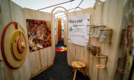 Nové výukové středisko včelařství v Praze nabízí netradiční pohled na spiritualitu včel