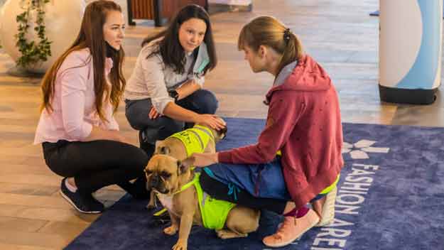 Zákazníci Fashion Arény podpořili psí asistenty VFN