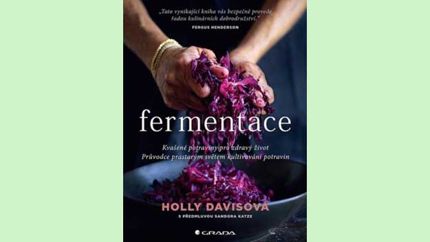 Fermentace: zdroj přírodního zdraví který si připravíte doma