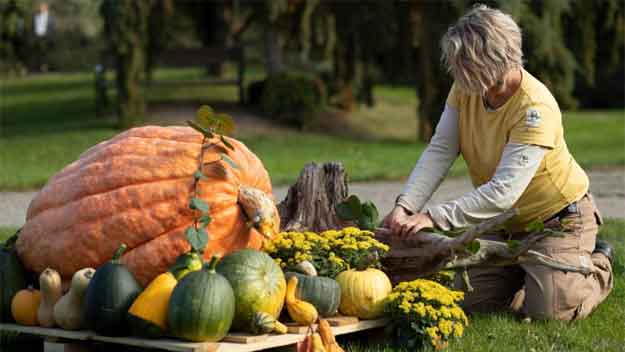 Botanická zahrada v Troji vystaví dýně. Největší má přes sto kilo