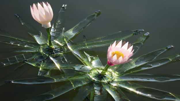 Nová PET Tropicana v trojské Fata Morganě