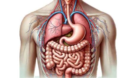 Jak významná je pro nás trávicí soustava