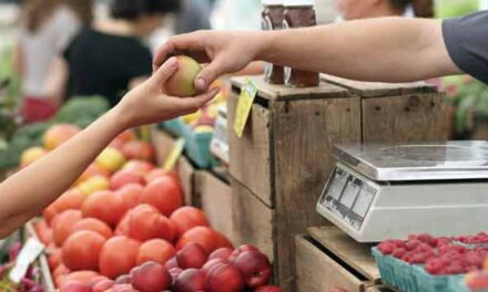 Proč jsou u nás potraviny dražší než v Německu?